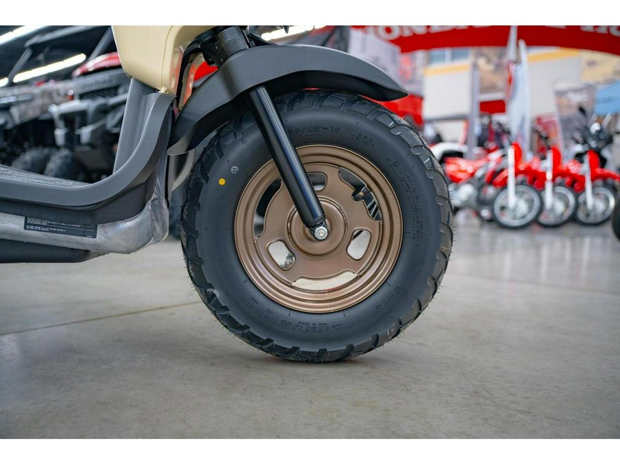 2024 Honda Ruckus