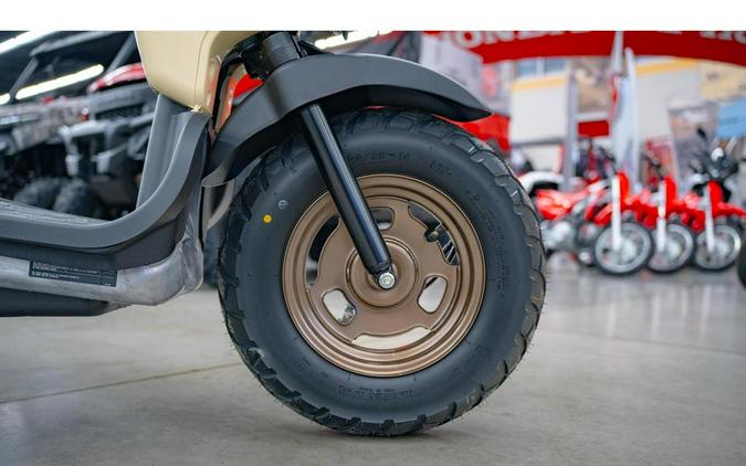 2024 Honda Ruckus
