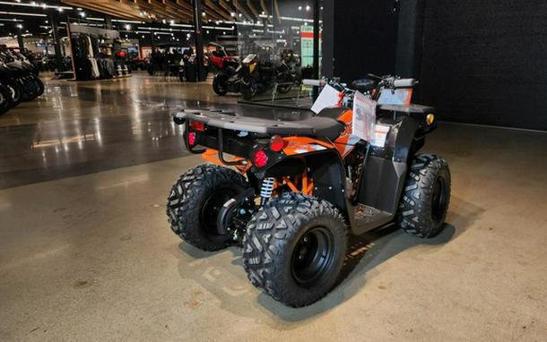 2026 Kayo Bull 125 EFI