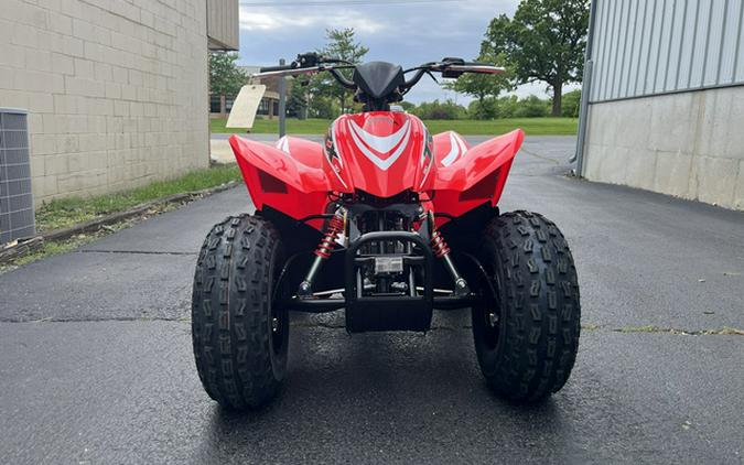 2026 Honda TRX 90X