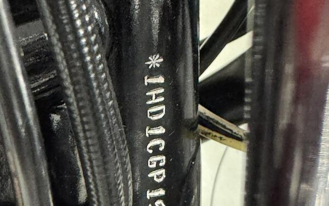 XL1200C 2006 1200 Custom