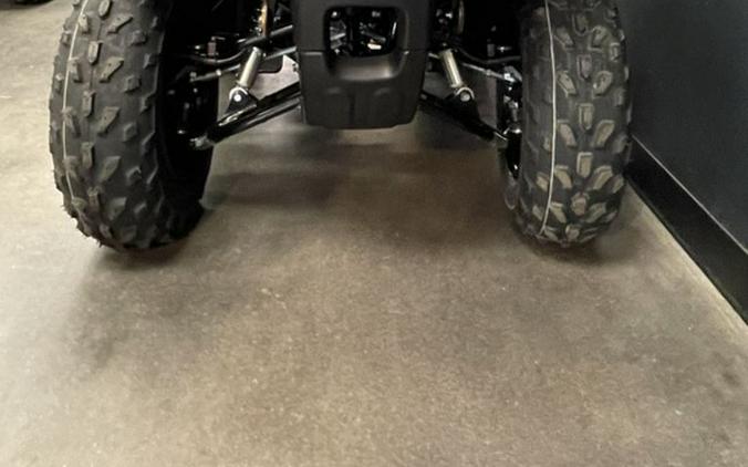 2024 Honda® Fourtrax Recon ES