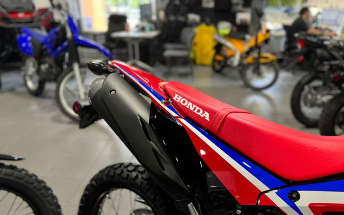 2024 Honda® CRF300L Rally