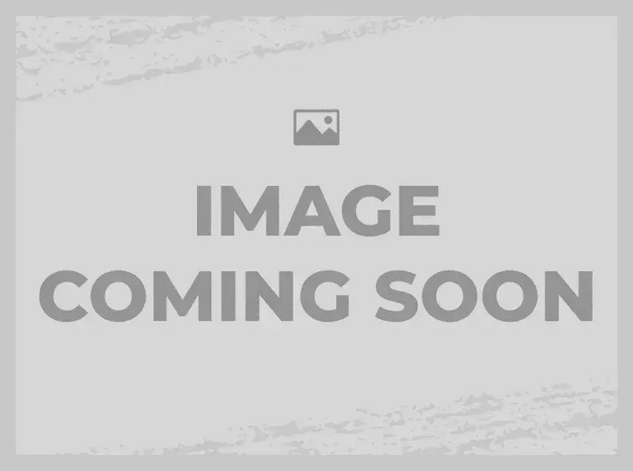 2026 Kawasaki Z900RS Cafe ABS