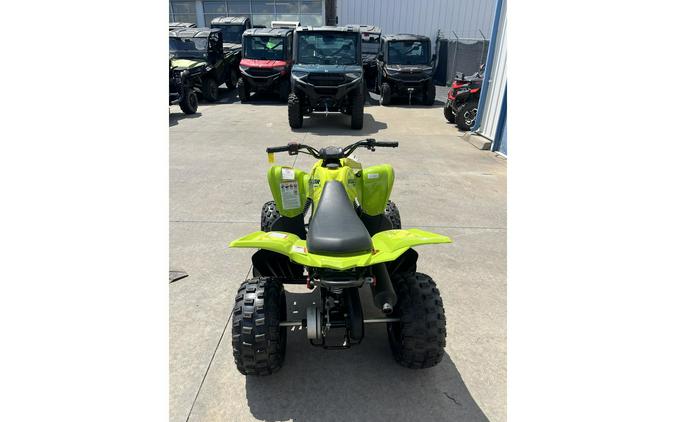 2026 Yamaha Raptor 110