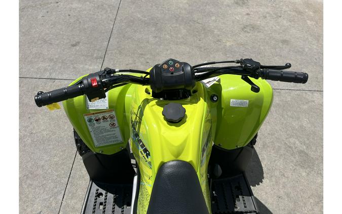 2026 Yamaha Raptor 110