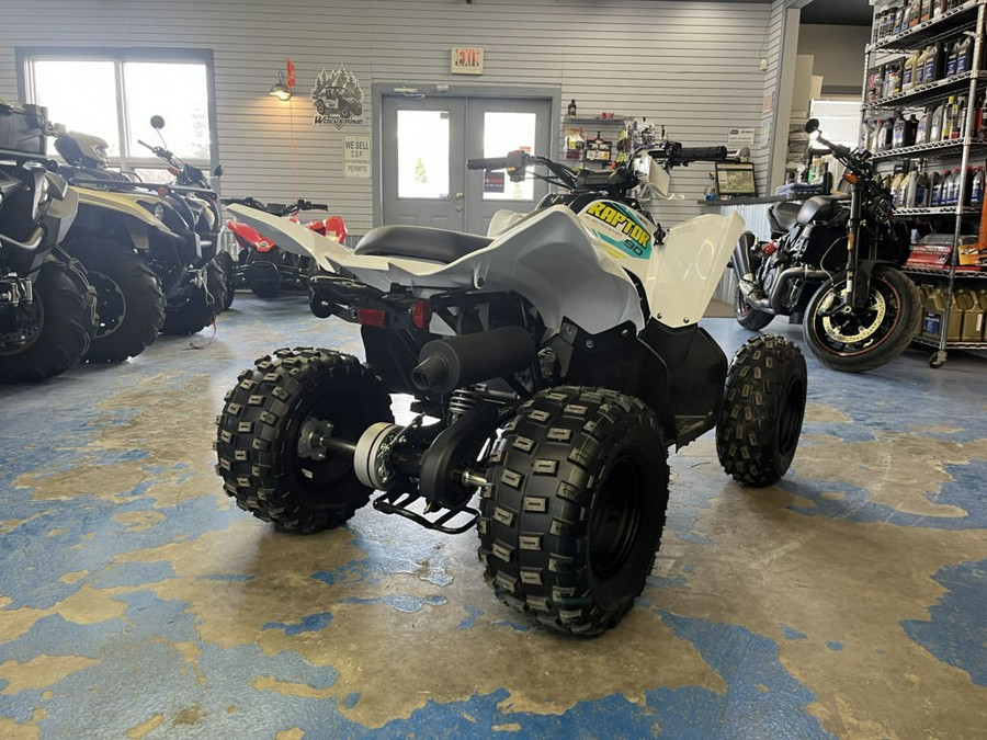 2023 Yamaha Raptor 90