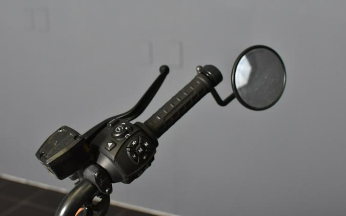 2022 Harley-Davidson Sportster S RH1250S