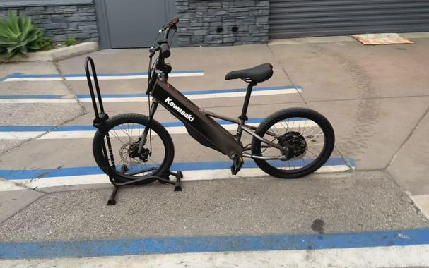 2025 Kawasaki ELEKTRODE 20FS