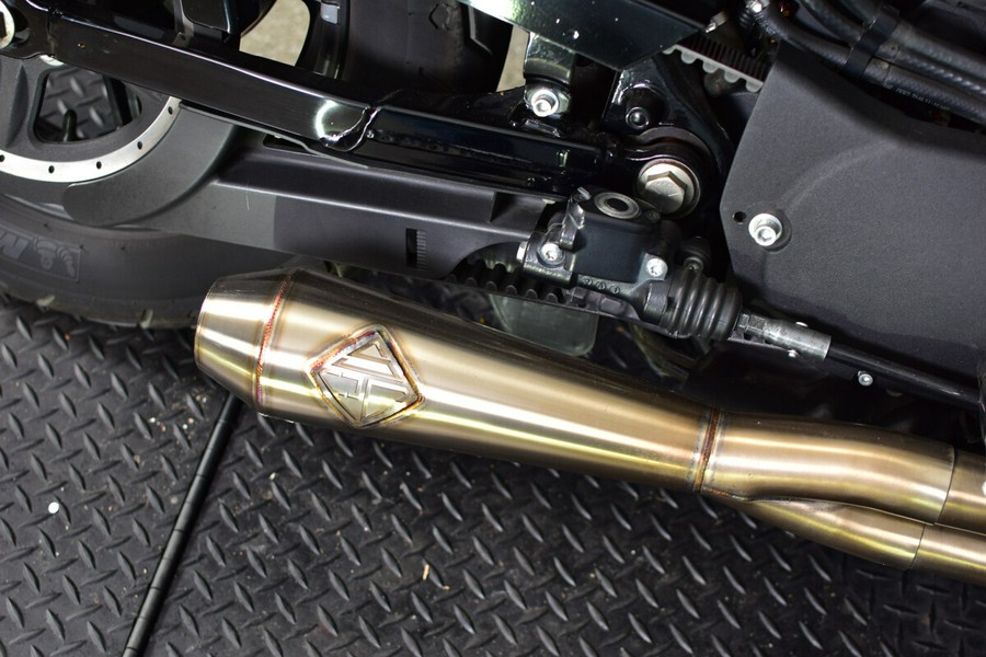 2022 Harley-Davidson Iron 883