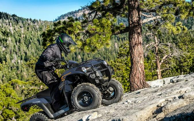 2024 Kawasaki Brute Force® 300