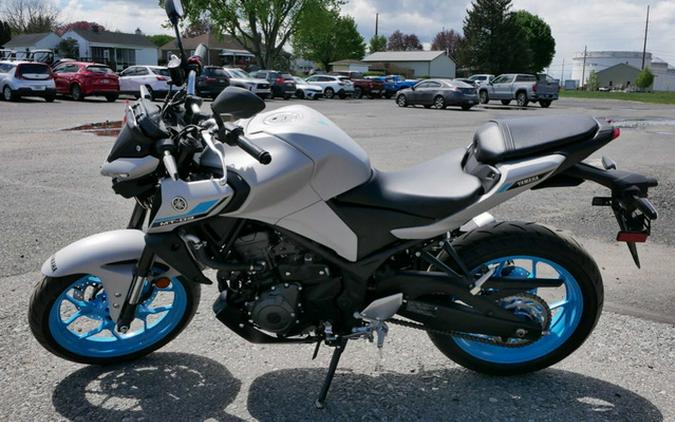 2025 Yamaha MT 03