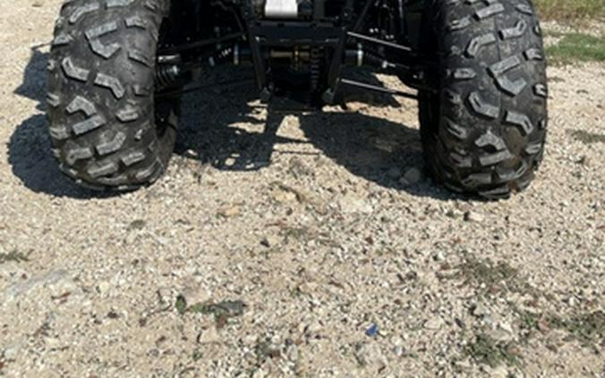 2027 Polaris RZR 200 EFI