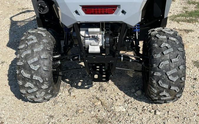 2027 Polaris RZR 200 EFI