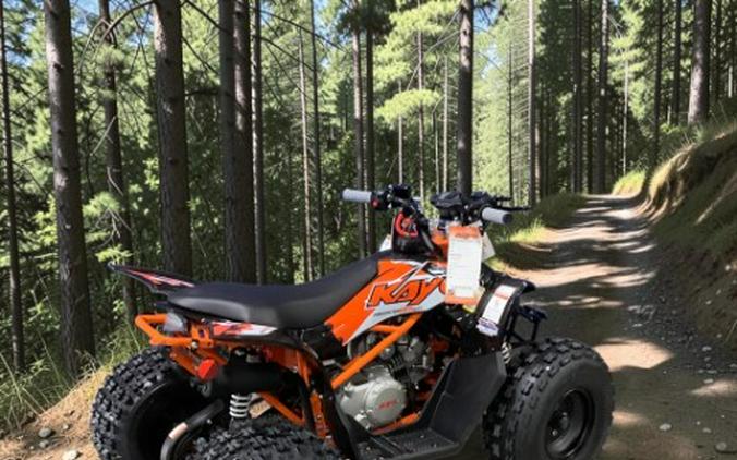 2026 Kayo Predator 125 EFI