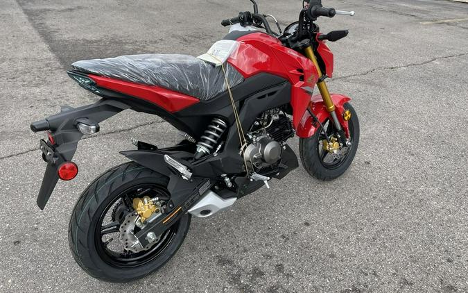 2023 Kawasaki Z125 PRO