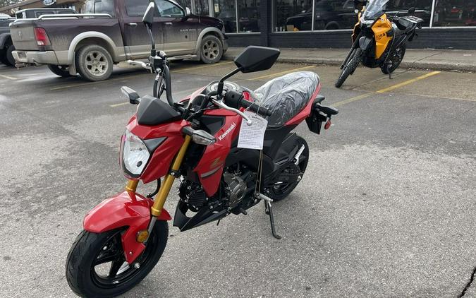 2023 Kawasaki Z125 PRO