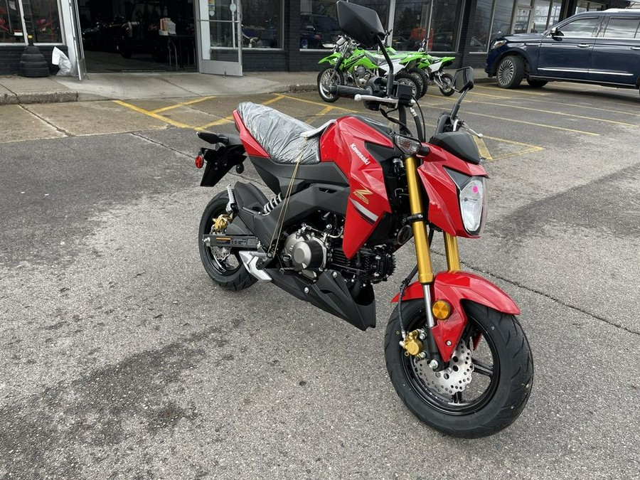 2023 Kawasaki Z125 PRO