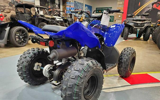 2024 YAMAHA RAPTOR 110