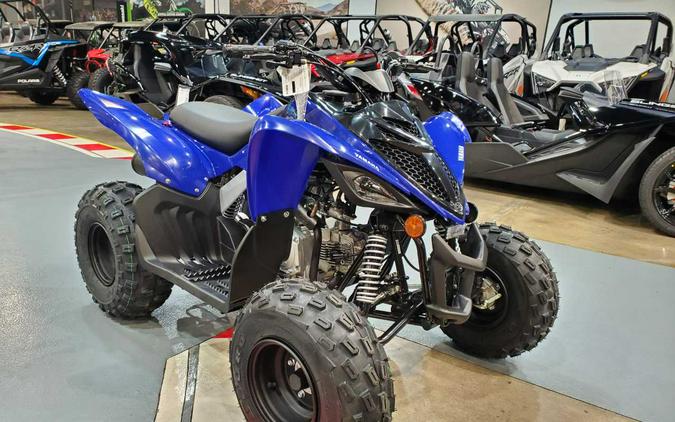 2024 YAMAHA RAPTOR 110