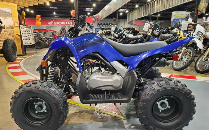 2024 YAMAHA RAPTOR 110