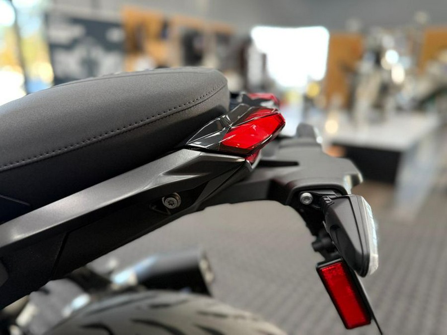 New 2026 BMW R 1300 R