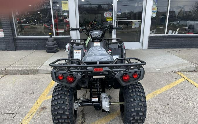 2023 Kawasaki Brute Force® 300