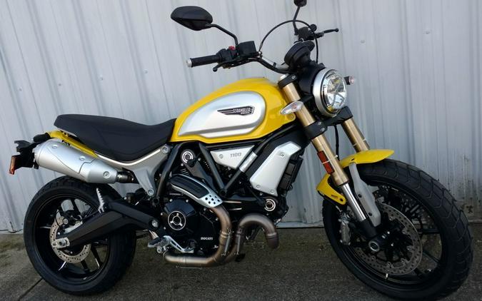 2019 Ducati Scrambler 1100 Eleven 62 Yellow