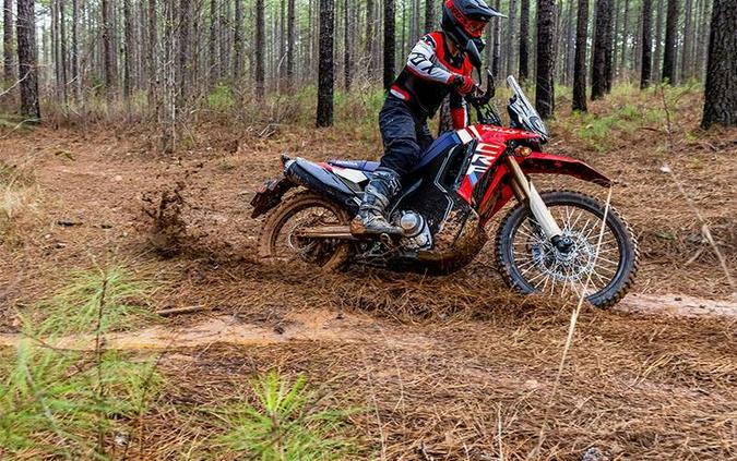 2025 Honda CRF300L RALLY 300L Rally