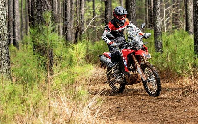 2025 Honda CRF300L RALLY 300L Rally