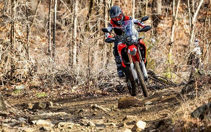 2025 Honda CRF300L RALLY 300L Rally