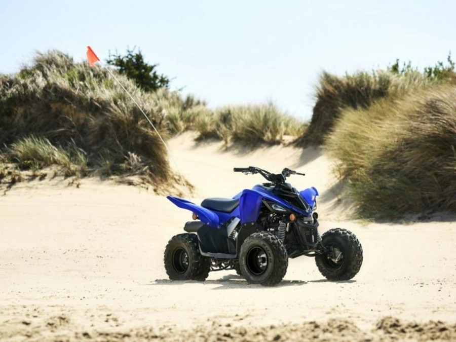 2024 Yamaha Raptor 110