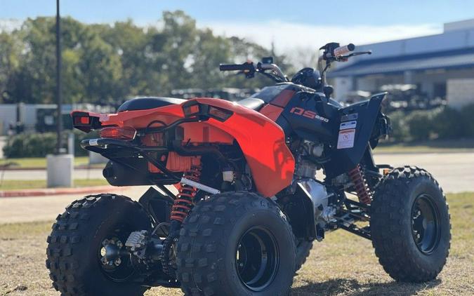 2026 Can-Am® DS 250