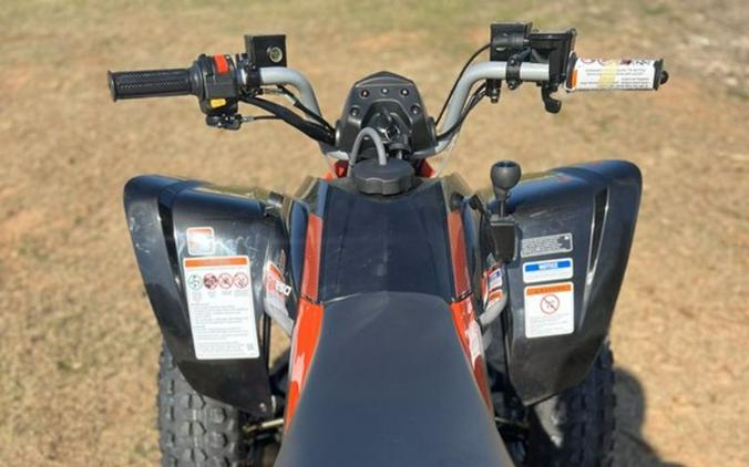 2026 Can-Am® DS 250