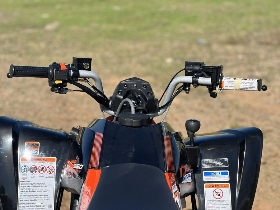 2026 Can-Am® DS 250