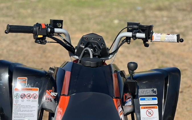 2026 Can-Am® DS 250