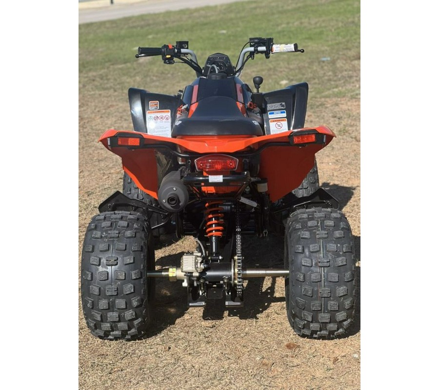 2026 Can-Am® DS 250