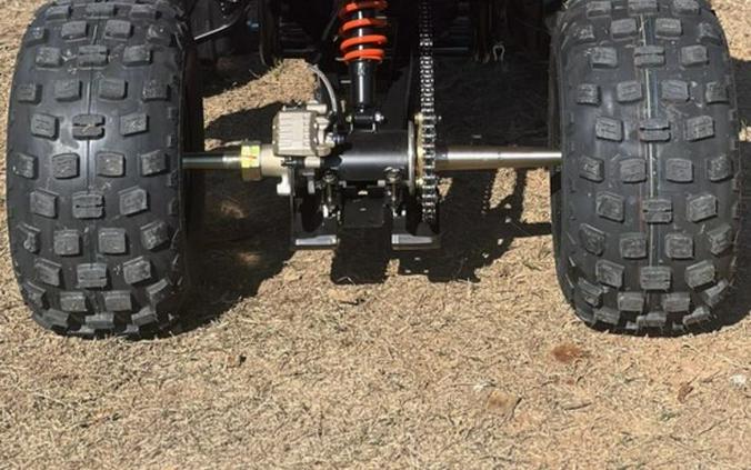 2026 Can-Am® DS 250