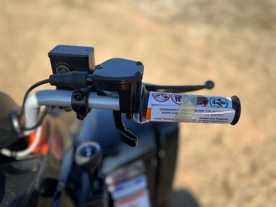 2026 Can-Am® DS 250