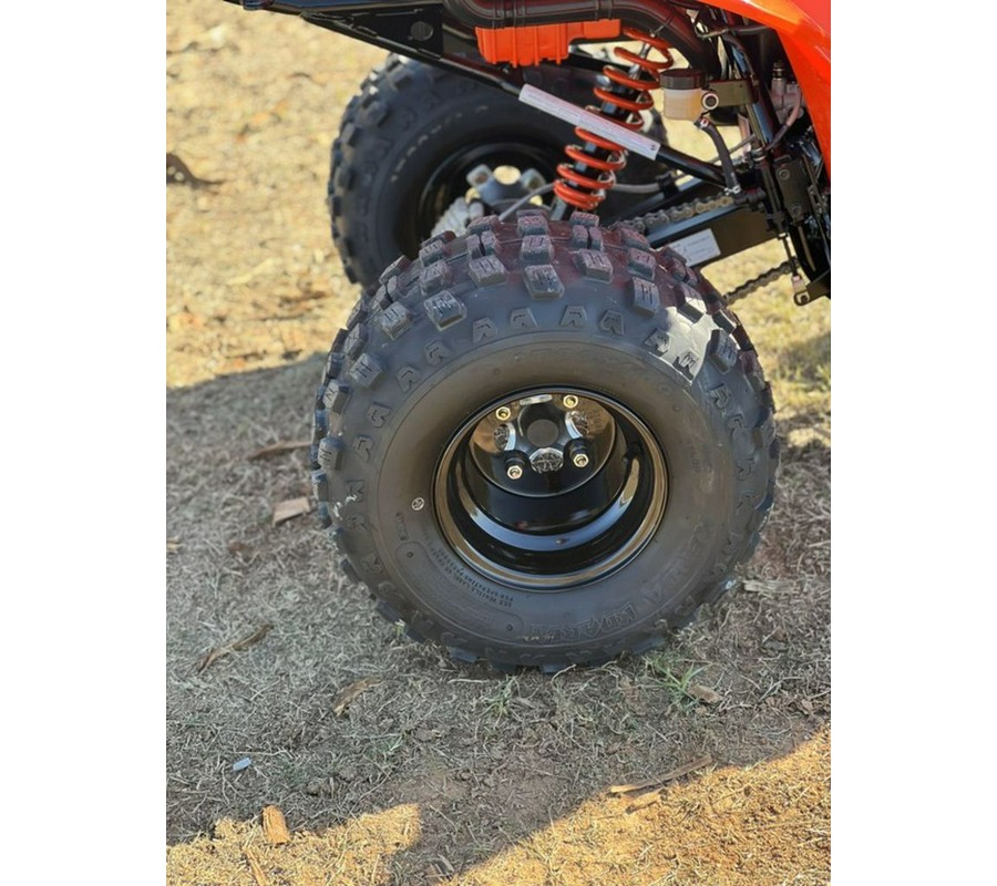 2026 Can-Am® DS 250