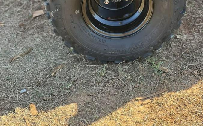 2026 Can-Am® DS 250