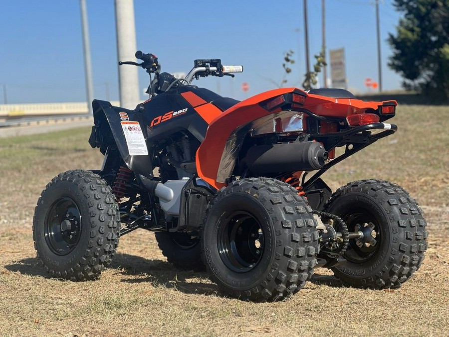 2026 Can-Am® DS 250