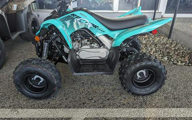 2024 Yamaha Raptor 110