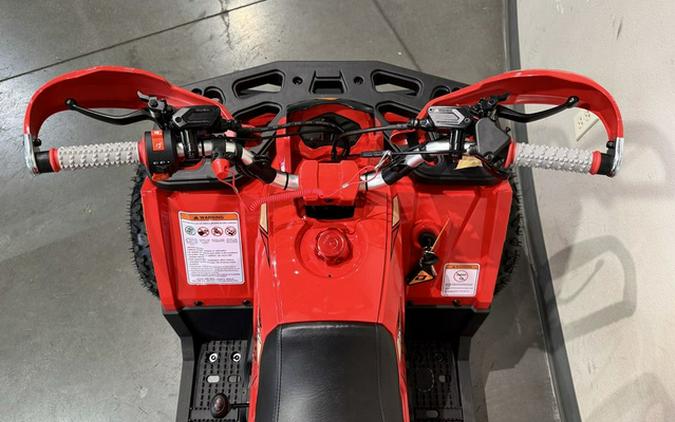 2026 Denago Powersports Mudhawk 10 FI 10FI