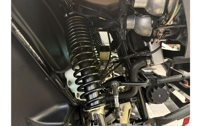 2026 Strike 250R - Hisun