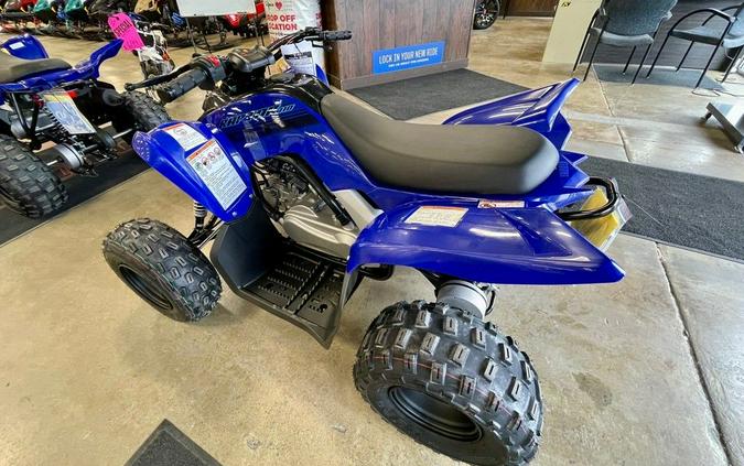 2024 Yamaha Raptor 110