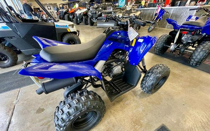 2024 Yamaha Raptor 110