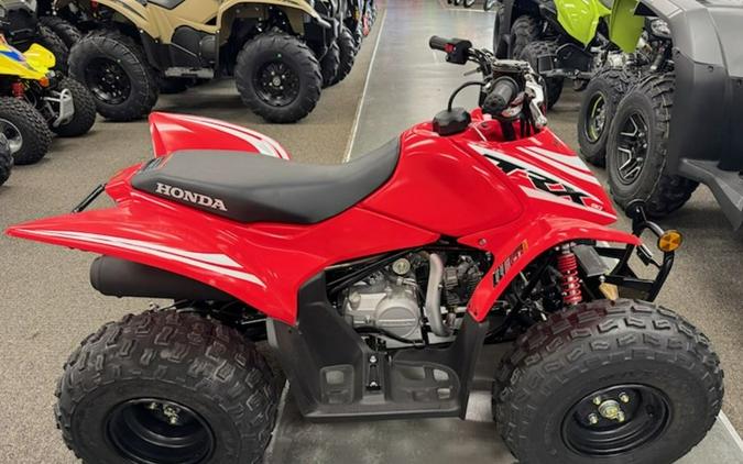 2026 Honda TRX90X