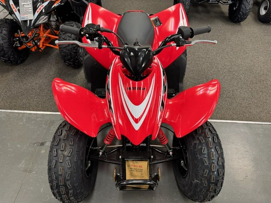 2026 Honda TRX90X