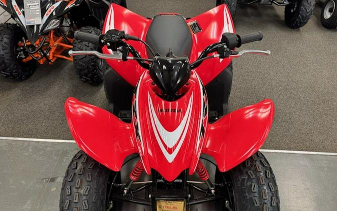 2026 Honda TRX90X